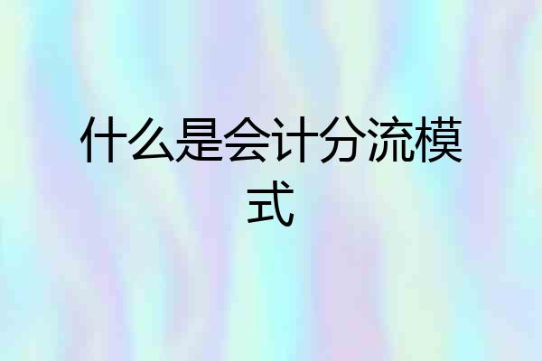 什么是会计分流模式