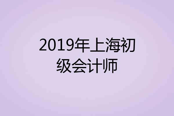 2019年上海初级会计师