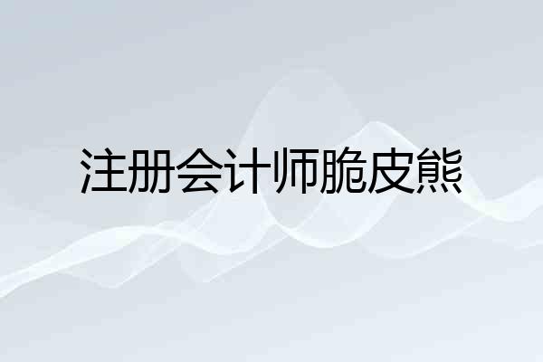 注册会计师脆皮熊