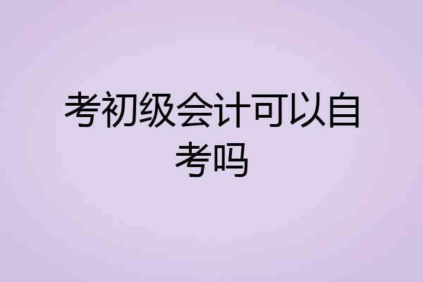 考初级会计可以自考吗