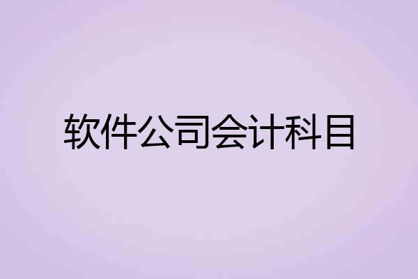 软件公司会计科目