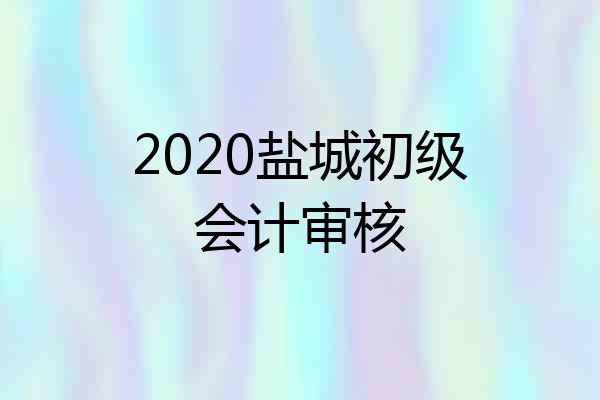 2020盐城初级会计审核