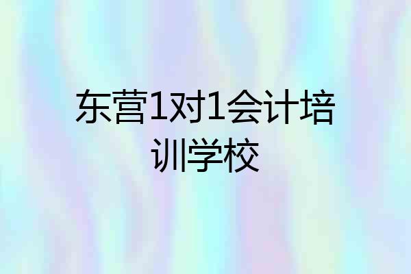 东营1对1会计培训学校