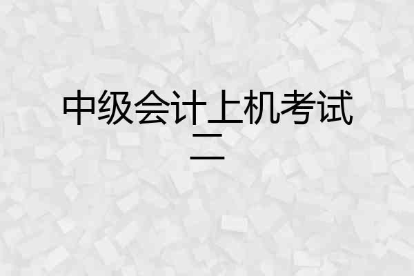 中级会计上机考试二