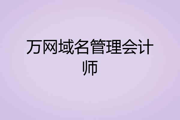 万网域名管理会计师