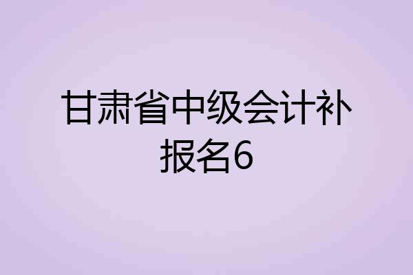 甘肃省中级会计补报名6