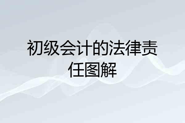 初级会计的法律责任图解