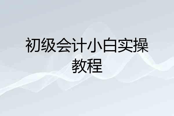 初级会计小白实操教程