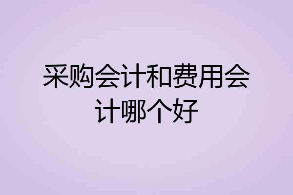 采购会计和费用会计哪个好