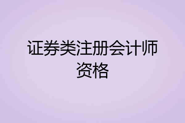 证券类注册会计师资格