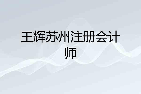王辉苏州注册会计师