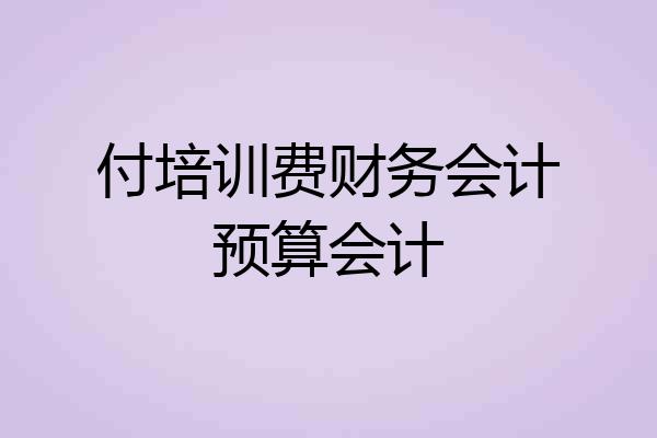 付培训费财务会计预算会计