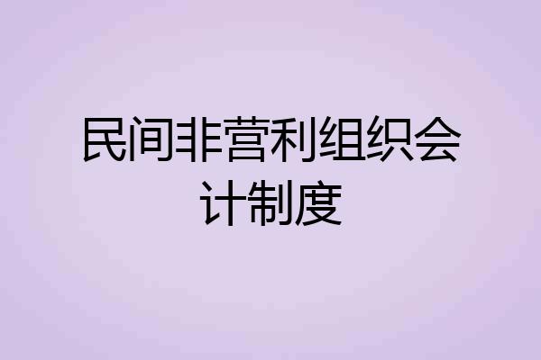 民间非营利组织会计制度