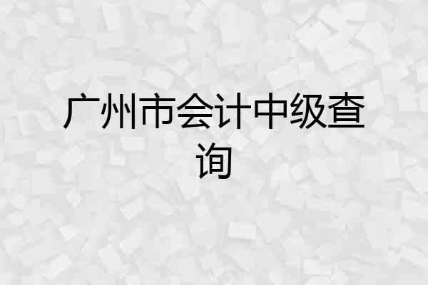 广州市会计中级查询
