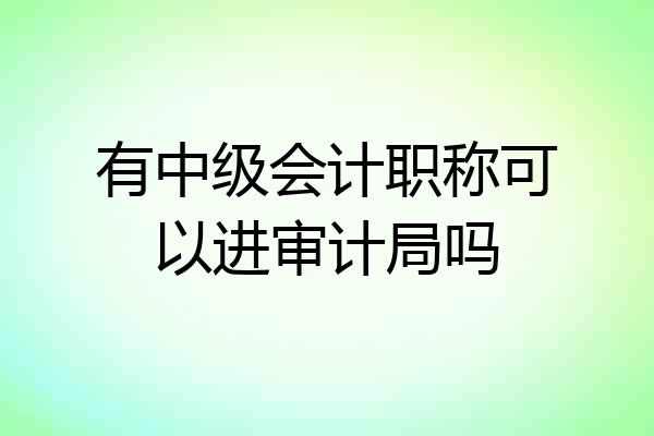 有中级会计职称可以进审计局吗