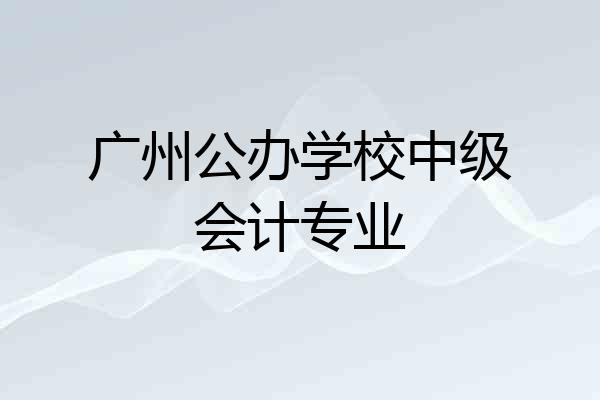 广州公办学校中级会计专业