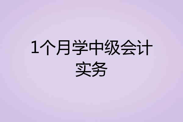 1个月学中级会计实务