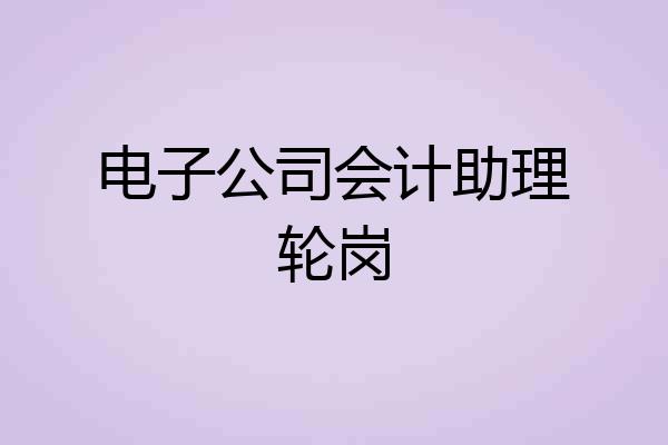 电子公司会计助理轮岗