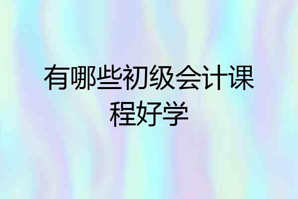 有哪些初级会计课程好学