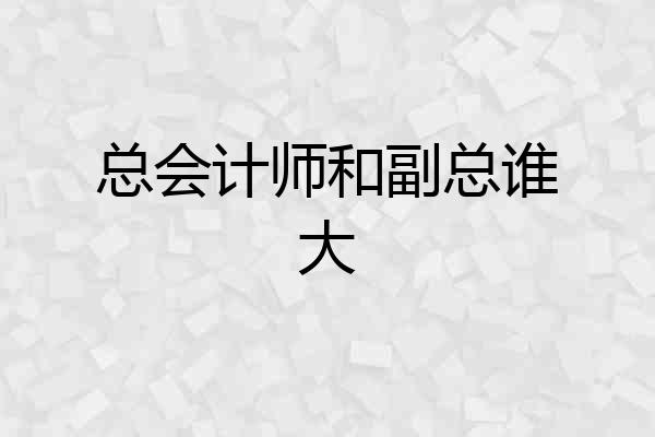 总会计师和副总谁大