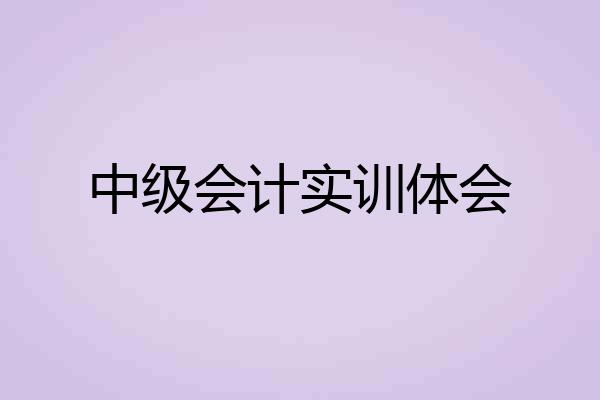 中级会计实训体会