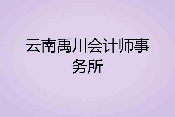 云南禹川会计师事务所