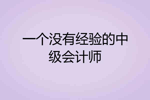 一个没有经验的中级会计师
