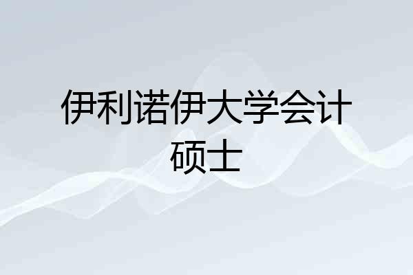 伊利诺伊大学会计硕士