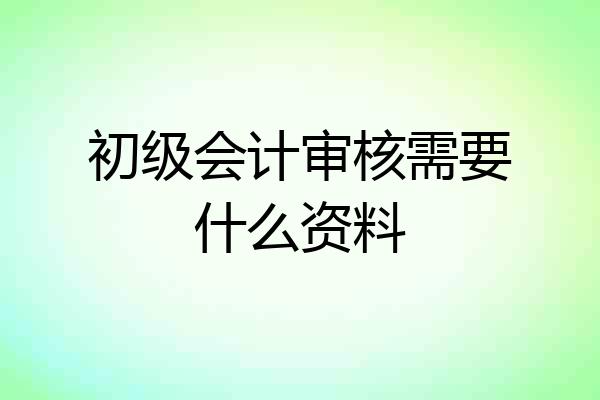 初级会计审核需要什么资料