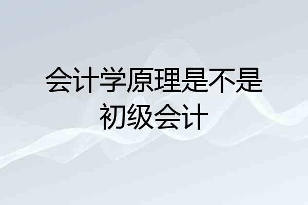 会计学原理是不是初级会计