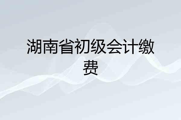 湖南省初级会计缴费