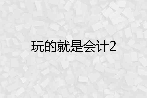 玩的就是会计2