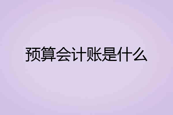 预算会计账是什么