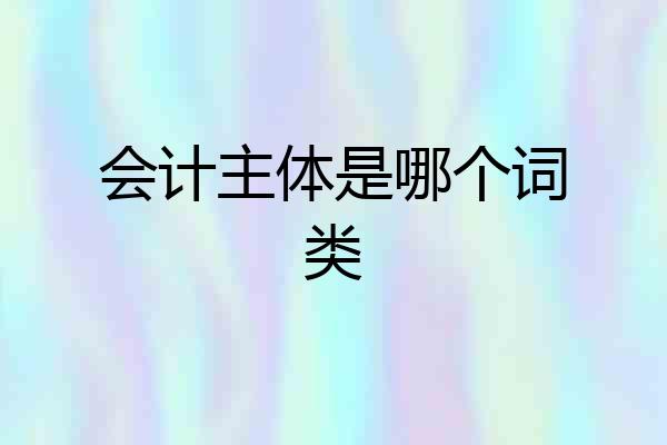 会计主体是哪个词类