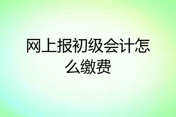 网上报初级会计怎么缴费