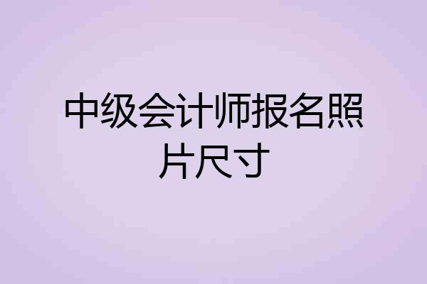 中级会计师报名照片尺寸
