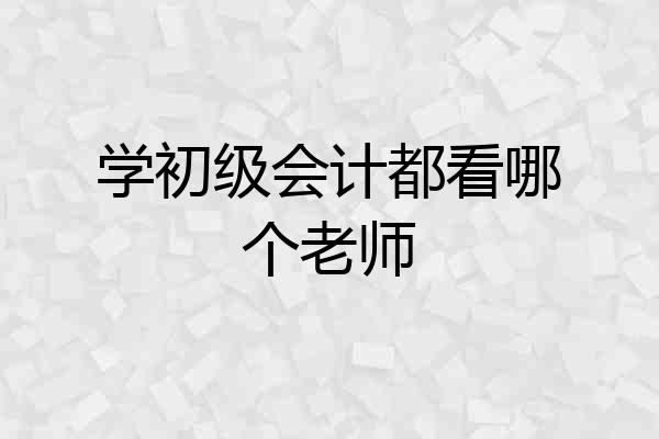 学初级会计都看哪个老师