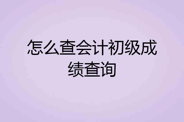怎么查会计初级成绩查询