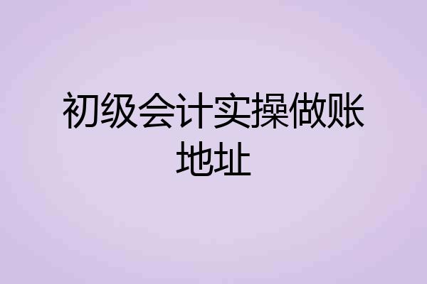 初级会计实操做账地址