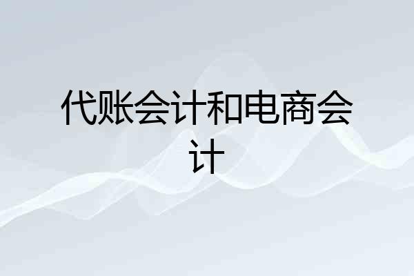 代账会计和电商会计