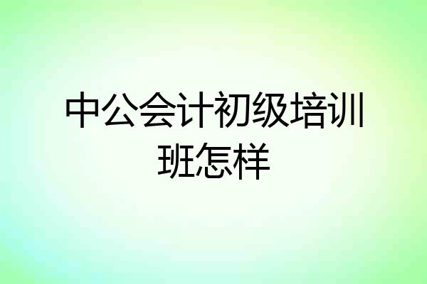 中公会计初级培训班怎样