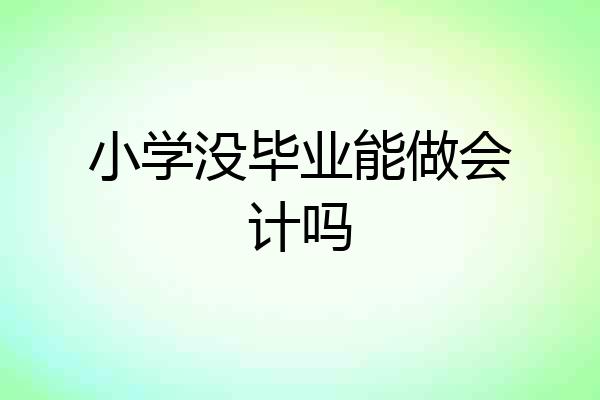 小学没毕业能做会计吗
