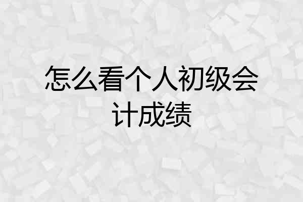 怎么看个人初级会计成绩