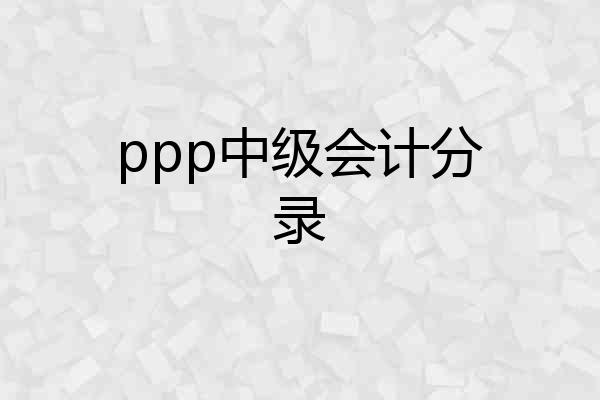 ppp中级会计分录