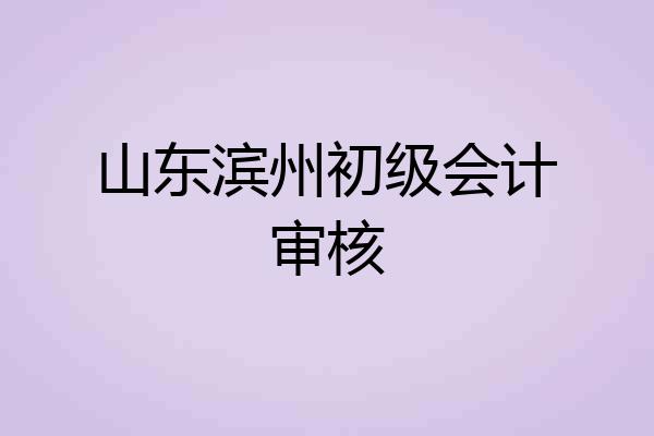 山东滨州初级会计审核