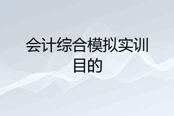 会计综合模拟实训目的