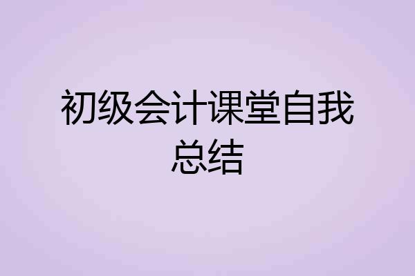 初级会计课堂自我总结