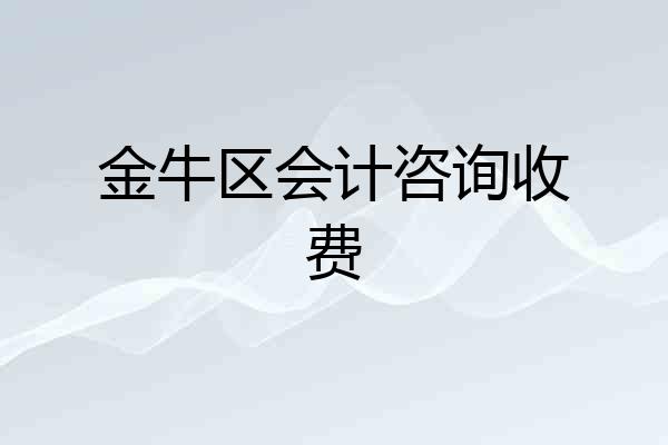金牛区会计咨询收费