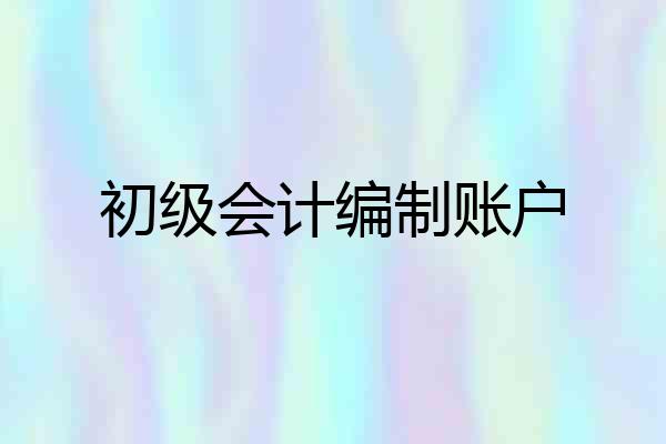 初级会计编制账户