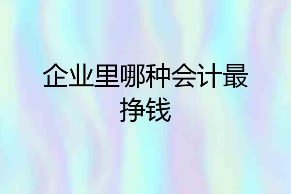 企业里哪种会计最挣钱